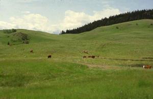 Saryarka - Steppe and Lakes of Northern Kazakhstan